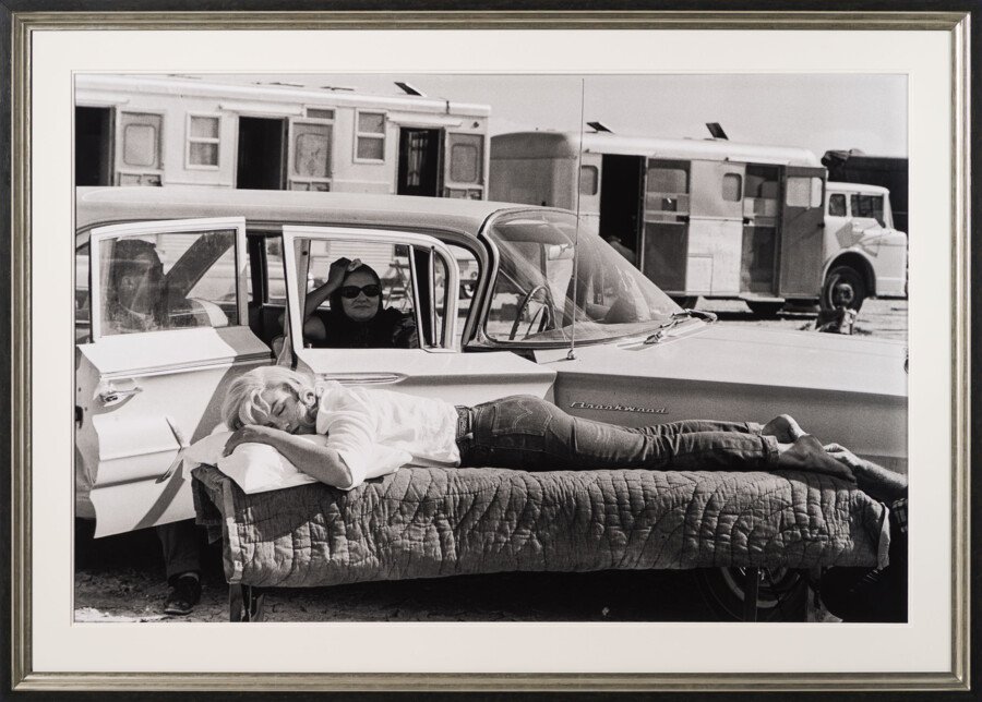 EAR RESTING ON SET OF THE MISFITS (12B) LRG 30 (1) 