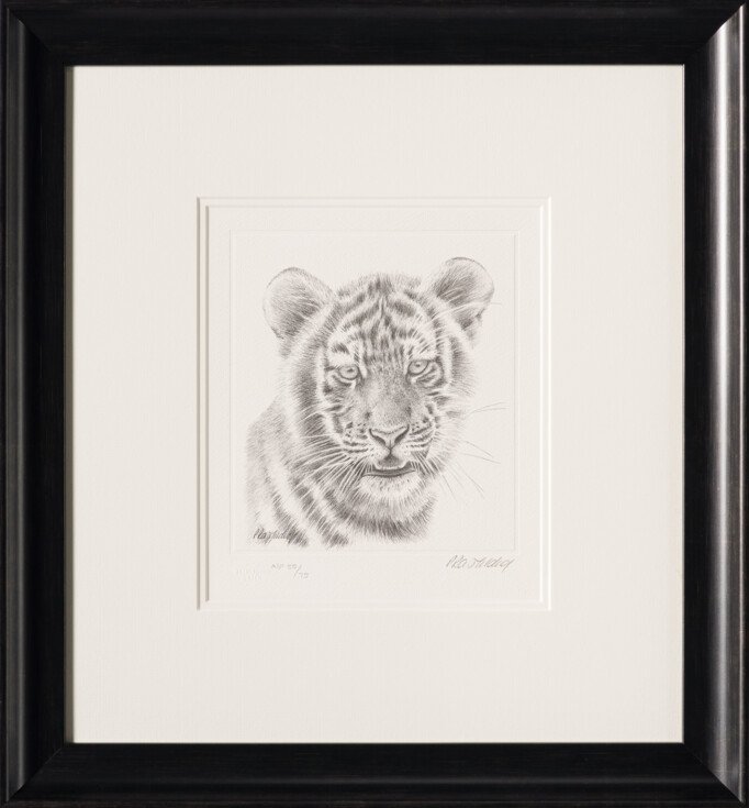 PHI SLE WWL 14747 Tiger Study   P Hild 30 