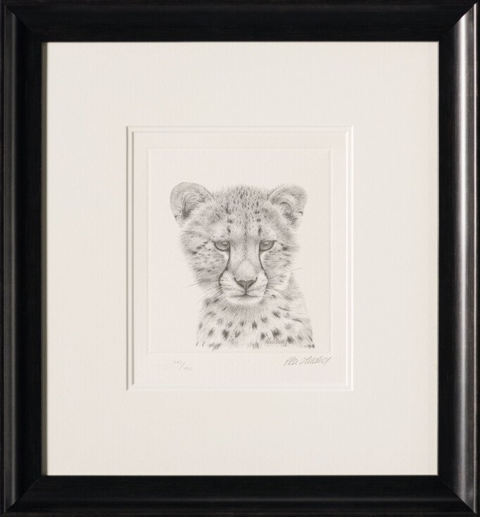 PHI SLE WWL 14749 Cheetah Study   P Hi 30 